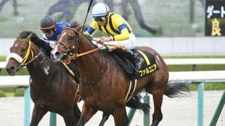 【AI予想・中京記念】波乱含みのハンデ戦！ 堅実な「重賞未勝利馬」が惜敗に終止符？