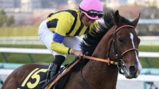 【中京記念予想オッズ】ファルコニアが予想1番人気