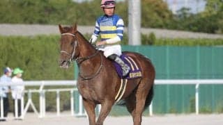 【プラチナC】JpnI勝ち馬など実績馬が多数出走、浦和の夏を飾る短距離戦