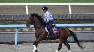 ダノンザキッド、関屋記念に向けて帰厩/栗東トレセンニュース