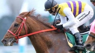 新種牡馬ネロの産駒が初勝利　19日門別3Rで後続に2秒差をつける圧勝
