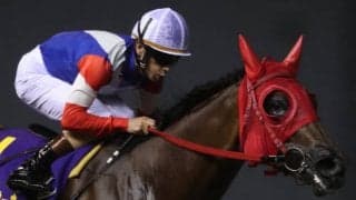 矢野貴之騎手が8月13日まで騎乗自粛　7月6日川崎で騎手控室に通信機器持ち込みも公正損なう連絡は認められず