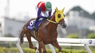 【浦和・プラチナC結果】ティーズダンクが押し切って重賞5勝目