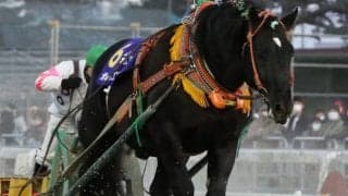 ばんえいの名馬オレノココロがヘルニアによる機能不全で死亡　歴代重賞勝利数最多、ばんえい最優秀馬を3度受賞