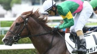 【次走】ヤマカツエース産駒として初勝利のタガノタントは小倉2歳Sへの参戦を視野に調整