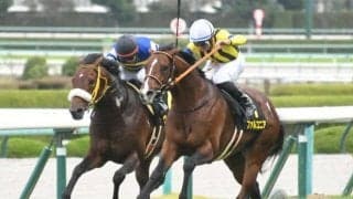 【中京記念予想】今年はやや堅めの決着か!? AIが指名した意外な注目馬とは？