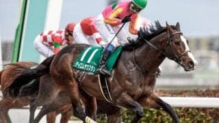 【JRA】テイエムサウスダンが蛯名正義厩舎に転厩 今秋は東京盃からJBCスプリントへ