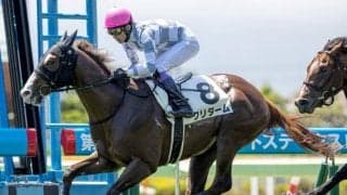 【次走】函館2歳S2着のクリダームは小倉2歳Sへ