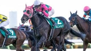 【中京記念出走馬・騎手確定】ファルコニア＆川田将雅騎手、カデナ＆今村聖奈騎手、ミスニューヨーク＆M.デムーロ騎手など16頭