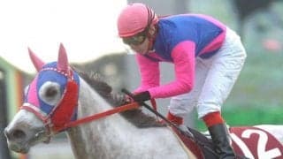 【POG】メイショウベルーガの忘れ形見が池添騎手で8/7にデビュー