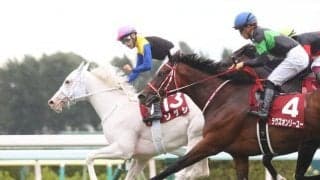 【JRA】札幌記念当日は入場券の当日現金発売を実施せず 指定席券か入場券の購入者に入場を限定