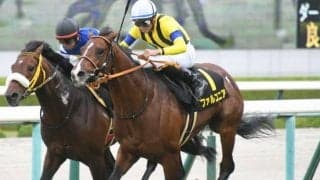 【中京記念枠順確定】ファルコニアは8枠15番、ミスニューヨークは1枠2番