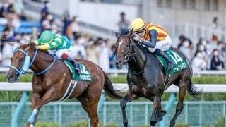【アイビスSD想定】連覇狙うオールアットワンスは石川裕紀人騎手、2年連続2着ライオンボスは坂井瑠星騎手