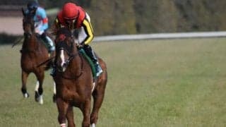 【今日の注目ポイント】札幌開催がスタート、福島でメジャーエンブレムの仔初陣など