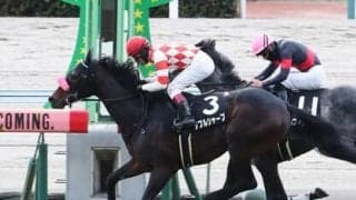 中京記念は好調「過去データ」から導き出された４頭で夏のビッグボーナスをつかめ！