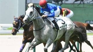 【小倉5R新馬戦結果】ヤクシマが中団から差し切る