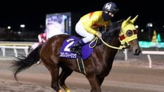 【船橋・習志野きらっとスプリント枠順確定】コパノフィーリングは4枠4番、ギシギシは8枠9番