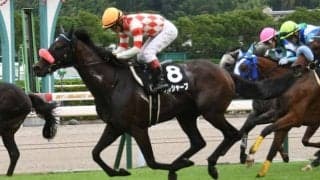 【中京記念予想】傷んだ馬場を得意とするあの馬に期待