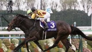 金子オーナーが高額で落札したシャザーン。「長くいい脚を使う」評判馬の実力はいかに