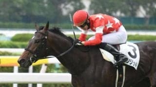 【小倉5R新馬戦結果】レッドソリッドが二枚腰で押し切る