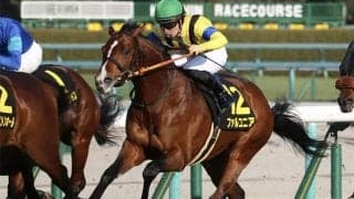 【中京記念・馬体重】ファルコニアは468kg(-4)、ミスニューヨークは468kg(0)