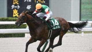 【中京記念結果】6番人気ベレヌスが逃げ切って重賞初V