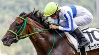 福島10Rで落馬の菅原明良騎手とジュンブルースカイは人馬ともに異状なし　スタート後に躓き空馬のままゴール