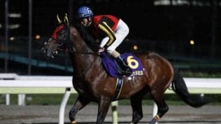 【大井・マイルグランプリ枠順確定】GI馬タイムフライヤーは1枠1番、4連勝狙うスマイルウィは7枠9番