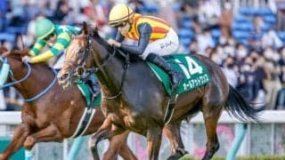 芝千直の電撃戦アイビスSD、牝馬GIIIクイーンSなど/今週の競馬界の見どころ