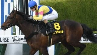 【先週のJRA抹消馬】OP3勝の逃げ馬リアンヴェリテ、重賞好走多数のウインイクシードなど