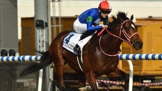 【JRA】バスラットレオンが参戦予定 ジャックルマロワ賞の国内馬券発売が決定