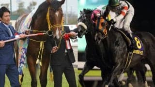 【セレクションセール2022】ジェンティルドンナの近親やエフフォーリアと同牝系の良血馬などが上場／注目馬一覧・1日目