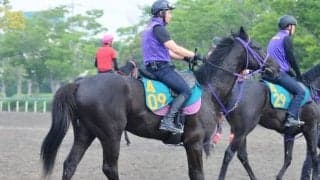 キンカメ産駒の母は重賞2勝、鹿戸調教師も期待するライツオブキングスがデビュー/関東馬メイクデビュー情報