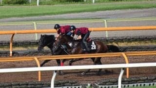 シルバーステート産駒の大物誕生か　素軽い動き見せるラスハンメル/関西馬メイクデビュー情報