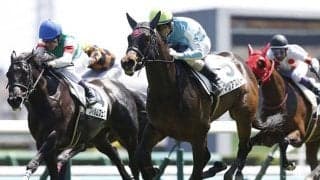 【アイビスSD想定騎手】マリアズハートは菊沢一樹騎手、オールアットワンスは石川裕紀人騎手