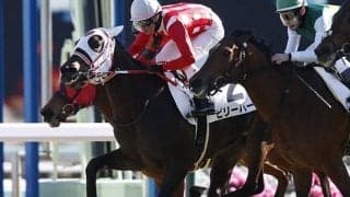 【AI予想・アイビスサマーダッシュ】信じる者は救われる!? あの「究極の末脚」が再び波乱を巻き起こすのか