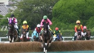 【新潟ジャンプS想定騎手】アサクサゲンキは石神深一騎手、ゼノヴァースは森一馬騎手