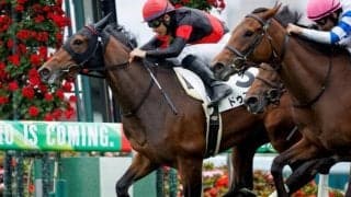 ルーラーシップ×ディープインパクトのドゥアイズ 過去の活躍馬からオークス向き？