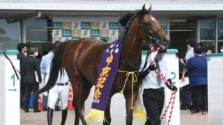 重賞初制覇のベレヌス 父母双方のローカル適性と最大限の力を発揮