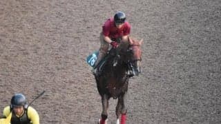 シリンガバルガリスなど、先週の入厩情報/栗東トレセンニュース