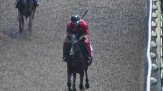 コトヴィアなど、先週のゲート試験/栗東トレセンニュース