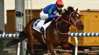 【英G1・サセックスS】8戦無敗バーイードは2番ゲート、バスラットレオンは5番ゲートから発走