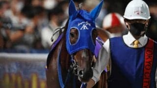 10歳馬ノンコノユメが現役生活に幕 JDD＆フェブラリーSを制し新天地でも活躍