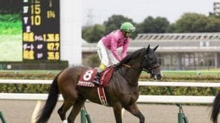 【新潟ジャンプS予想オッズ】アサクサゲンキが予想1番人気