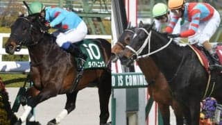 【セレクションセール2022】「薔薇一族」の良血馬、GI2勝馬アドマイヤコジーン甥などが上場／注目馬一覧・2日目