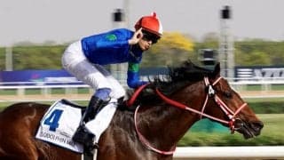 【サセックスS】出馬表確定