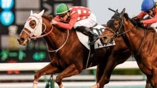 【アイビスSD展望】コース巧者の中でもあの馬に期待したい