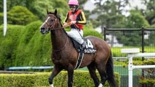 【マイルグランプリ】GI馬タイムフライヤーの復活なるか　南関東のマイル王者決定戦