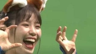 チアの“フリフリ”共演が「めちゃ可愛い」　きつねとたぬきのコラボに「目が幸せっ」