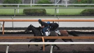 ジェラルディーナ＆ヒンドゥタイムズ、小倉記念2週前追い切り速報/栗東トレセンニュース